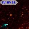 SV* DV    75