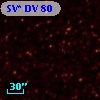SV* DV    80