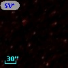 SV* DV    95