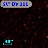 SV* DV   111