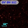 SV* DV   112