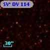 SV* DV   114