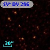 SV* DV   286