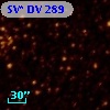 SV* DV   289