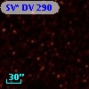 SV* DV   290
