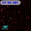 SV* DV   305