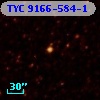 TYC 9166-584-1