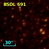 BSDL  691