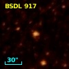 BSDL  917