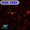 BSDL 1099