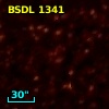 BSDL 1341