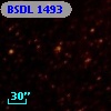 BSDL 1493