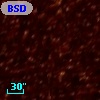 BSDL 1500