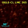 OGLE-CL LMC 365