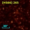 [HS66] 265