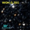 WOH G 301
