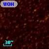 WOH G 324