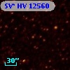 SV* HV 12560