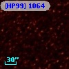 [HP99]  1064