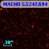 MACHO   5.5247.894