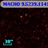 MACHO   9.5239.1141
