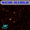 MACHO  10.3309.36