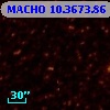 MACHO  10.3673.86