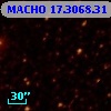MACHO  17.3068.31