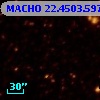 MACHO  22.4503.597