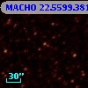 MACHO  22.5599.3811