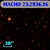 MACHO  23.2936.16
