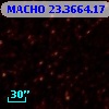 MACHO  23.3664.17