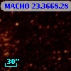 MACHO  23.3668.28