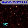 MACHO  23.3787.18