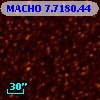MACHO   7.7180.44