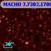 MACHO   7.7302.1700