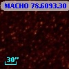 MACHO  78.6093.30