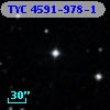 TYC 4591-978-1