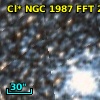 Cl* NGC 1987    FFT      20