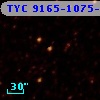 TYC 9165-1075-1