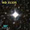 HD  31335