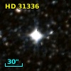 HD  31336