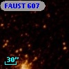 FAUST  607