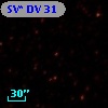 SV* DV    31
