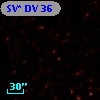 SV* DV    36