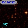 SV* DV    37