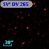 SV* DV   265
