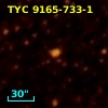 TYC 9165-733-1