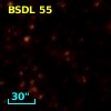BSDL   55