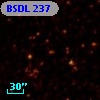 BSDL  237